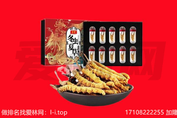 齐齐哈尔龙沙区回收虫草.jpg